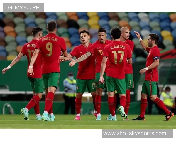 葡萄牙足球比赛精彩回顾与未来展望球迷热情与球队表现的完美结合